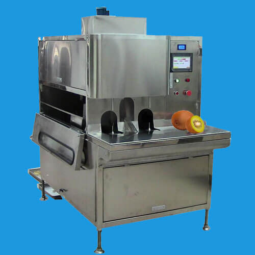 Vegetable Peeling Machine