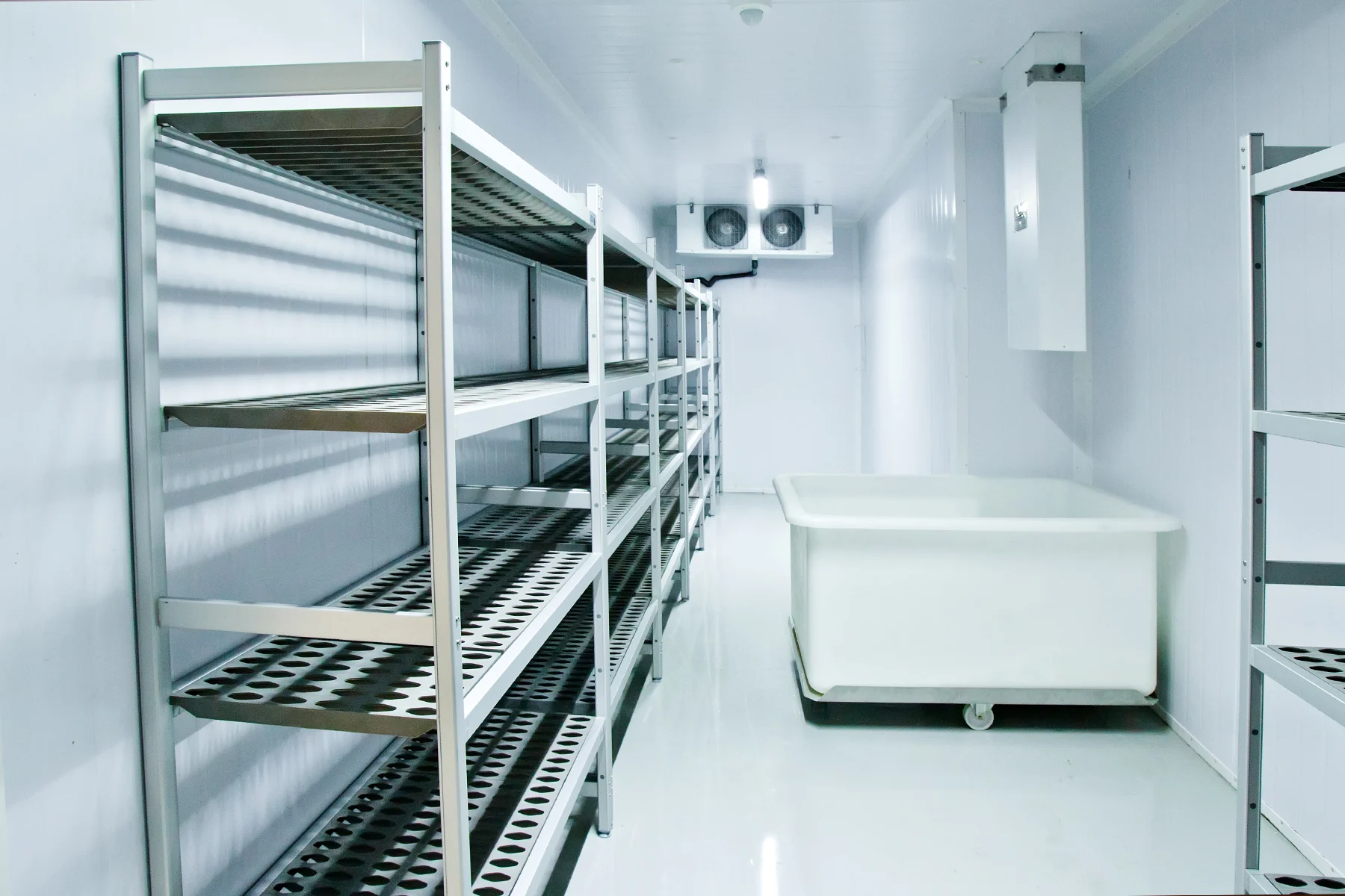 Commercial Walk-in Freezer